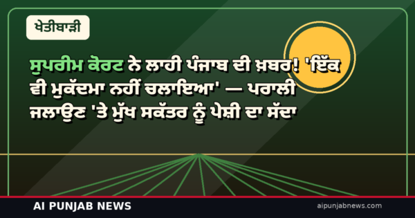 ਸੁਪਰੀਮ ਕੋਰਟ ਨੇ ਲਾਹੀ ਪੰਜਾਬ ਦੀ ਖ਼ਬਰ! ‘ਇੱਕ ਵੀ ਮੁਕੱਦਮਾ ਨਹੀਂ ਚਲਾਇਆ’ — ਪਰਾਲੀ ਜਲਾਉਣ ‘ਤੇ ਮੁੱਖ ਸਕੱਤਰ ਨੂੰ ਪੇਸ਼ੀ ਦਾ ਸੱਦਾ