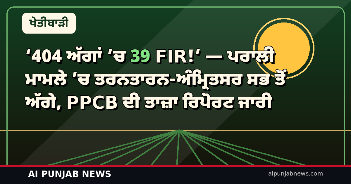 ‘404 ਅੱਗਾਂ ’ਚ 39 FIR!’ — ਪਰਾਲੀ ਮਾਮਲੇ ’ਚ ਤਰਨਤਾਰਨ-ਅੰਮ੍ਰਿਤਸਰ ਸਭ ਤੋਂ ਅੱਗੇ, PPCB ਦੀ ਤਾਜ਼ਾ ਰਿਪੋਰਟ ਜਾਰੀ
