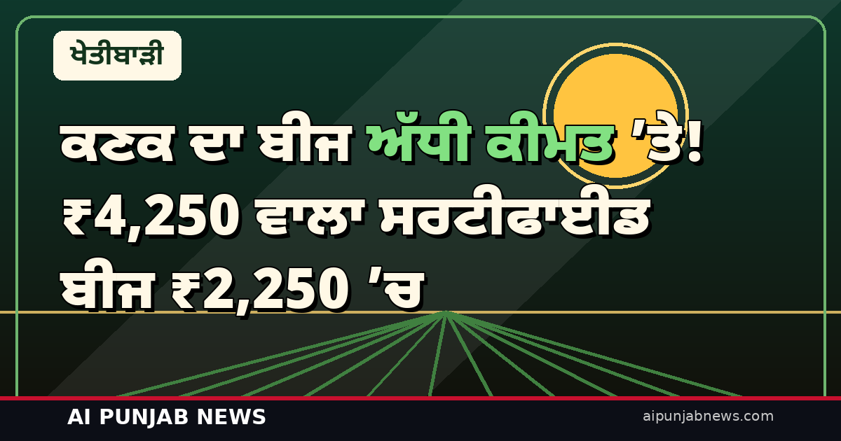 ਕਣਕ ਦਾ ਬੀਜ ਅੱਧੀ ਕੀਮਤ ’ਤੇ! ₹4,250 ਵਾਲਾ ਸਰਟੀਫਾਈਡ ਬੀਜ ₹2,250 ’ਚ — ਅਰਜ਼ੀ ਦਾ ਤਰੀਕਾ ਤੇ ਸ਼ਰਤਾਂ ਜਾਣੋ
