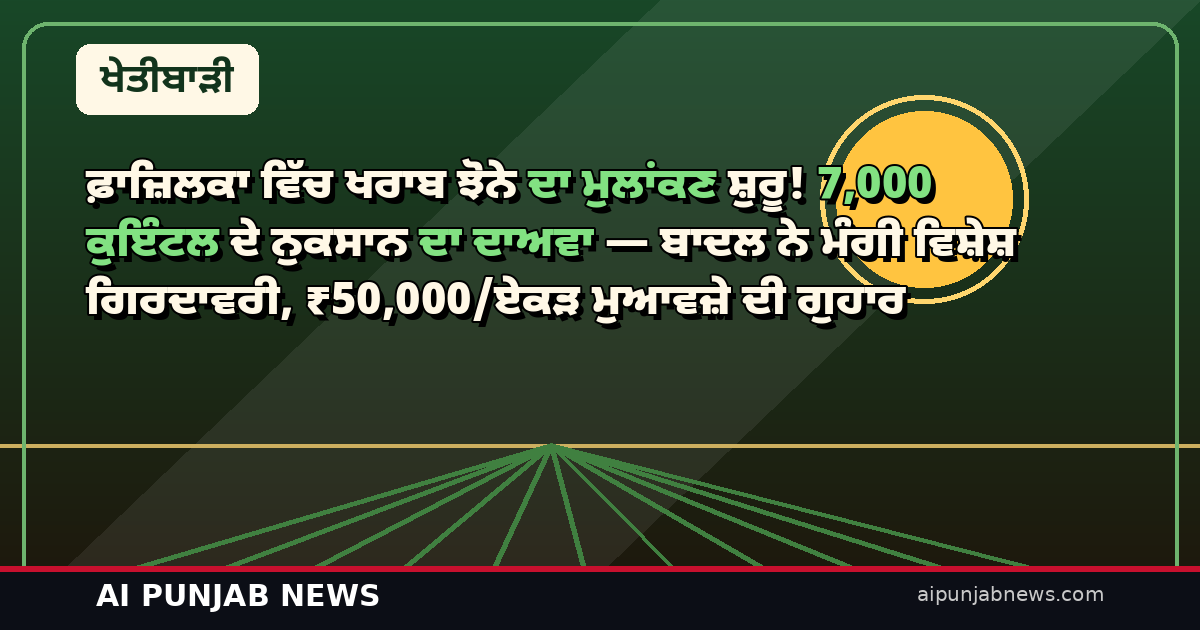 ਫ਼ਾਜ਼ਿਲਕਾ ਵਿੱਚ ਖਰਾਬ ਝੋਨੇ ਦਾ ਮੁਲਾਂਕਣ ਸ਼ੁਰੂ! 7,000 ਕੁਇੰਟਲ ਦੇ ਨੁਕਸਾਨ ਦਾ ਦਾਅਵਾ — ਬਾਦਲ ਨੇ ਮੰਗੀ ਵਿਸ਼ੇਸ਼ ਗਿਰਦਾਵਰੀ, ₹50,000/ਏਕੜ ਮੁਆਵਜ਼ੇ ਦੀ ਗੁਹਾਰ