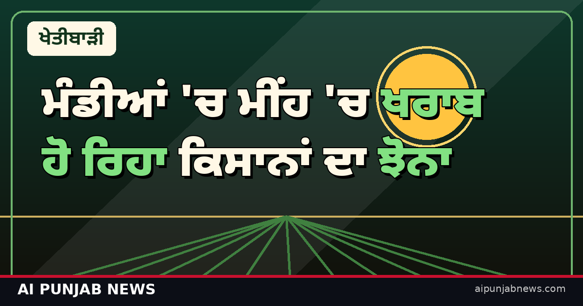 ਮੰਡੀਆਂ 'ਚ ਮੀਂਹ 'ਚ ਖਰਾਬ ਹੋ ਰਿਹਾ ਕਿਸਾਨਾਂ ਦਾ ਝੋਨਾ