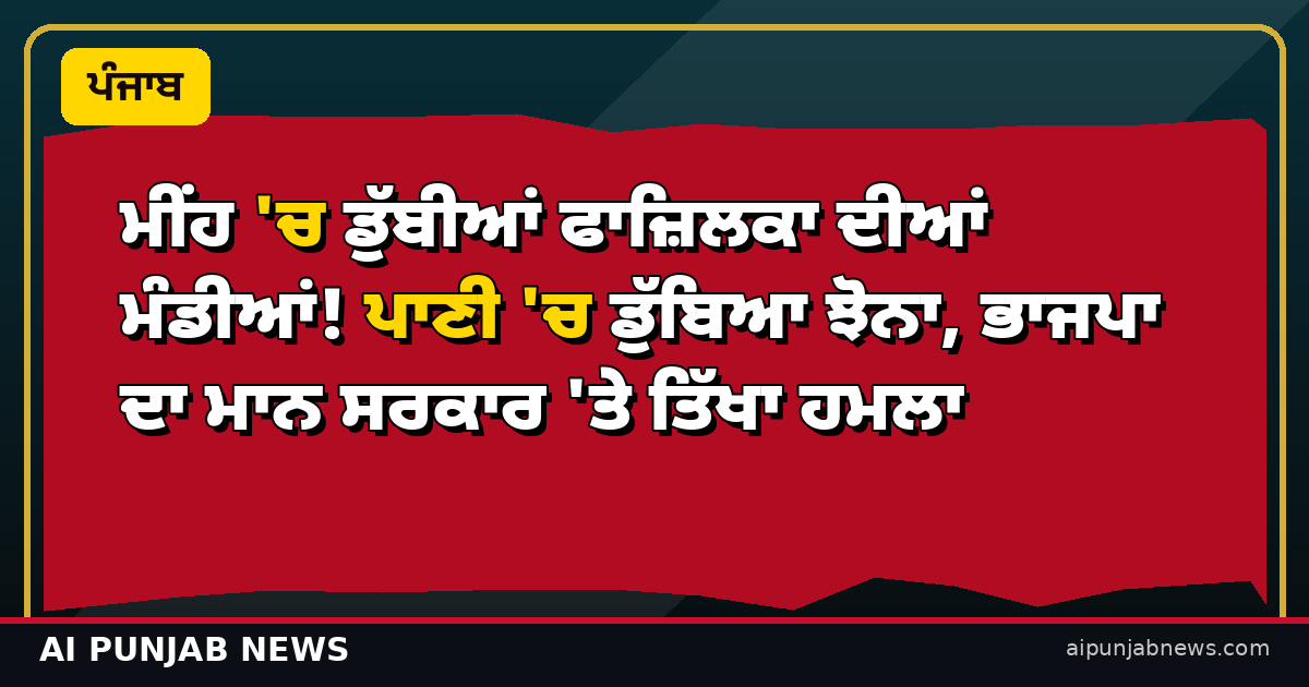 ਮੀਂਹ 'ਚ ਡੁੱਬੀਆਂ ਫਾਜ਼ਿਲਕਾ ਦੀਆਂ ਮੰਡੀਆਂ! ਪਾਣੀ 'ਚ ਡੁੱਬਿਆ ਝੋਨਾ, ਭਾਜਪਾ ਦਾ ਮਾਨ ਸਰਕਾਰ 'ਤੇ ਤਿੱਖਾ ਹਮਲਾ