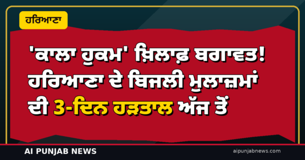 ‘ਕਾਲਾ ਹੁਕਮ’ ਖ਼ਿਲਾਫ਼ ਬਗਾਵਤ! ਹਰਿਆਣਾ ਦੇ ਬਿਜਲੀ ਮੁਲਾਜ਼ਮਾਂ ਦੀ 3-ਦਿਨ ਹੜਤਾਲ ਅੱਜ ਤੋਂ — ਮੰਤਰੀ ਵਿਜ ਦੀ ਅਪੀਲ ਠੁਕਰਾਈ