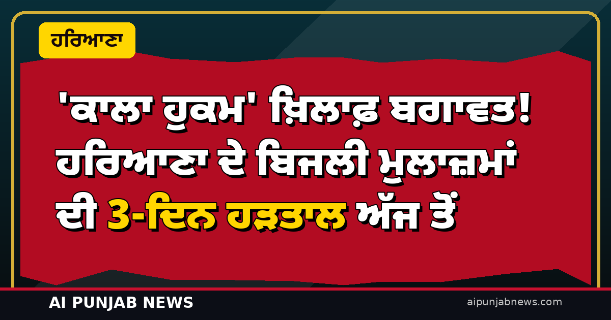 ‘ਕਾਲਾ ਹੁਕਮ’ ਖ਼ਿਲਾਫ਼ ਬਗਾਵਤ! ਹਰਿਆਣਾ ਦੇ ਬਿਜਲੀ ਮੁਲਾਜ਼ਮਾਂ ਦੀ 3-ਦਿਨ ਹੜਤਾਲ ਅੱਜ ਤੋਂ — ਮੰਤਰੀ ਵਿਜ ਦੀ ਅਪੀਲ ਠੁਕਰਾਈ