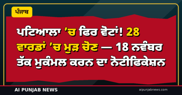 ਪਟਿਆਲਾ ’ਚ ਫਿਰ ਵੋਟਾਂ! 28 ਵਾਰਡਾਂ ’ਚ ਮੁੜ ਚੋਣ — 18 ਨਵੰਬਰ ਤੱਕ ਮੁਕੰਮਲ ਕਰਨ ਦਾ ਨੋਟੀਫਿਕੇਸ਼ਨ