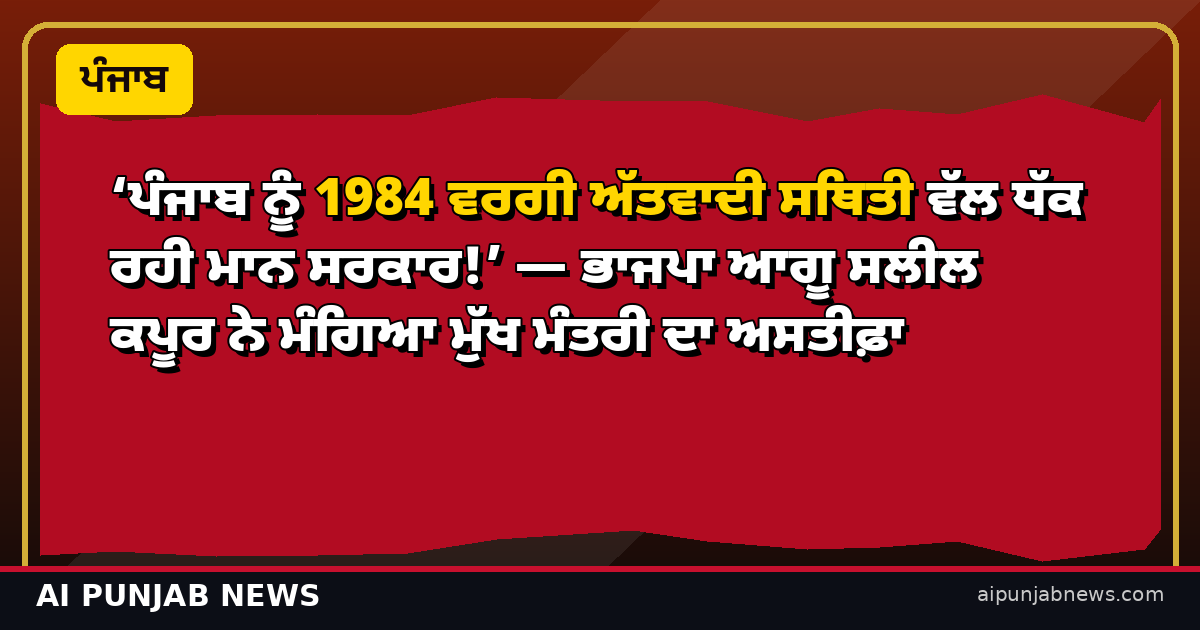 ‘ਪੰਜਾਬ ਨੂੰ 1984 ਵਰਗੀ ਅੱਤਵਾਦੀ ਸਥਿਤੀ ਵੱਲ ਧੱਕ ਰਹੀ ਮਾਨ ਸਰਕਾਰ!’ — ਭਾਜਪਾ ਆਗੂ ਸਲੀਲ ਕਪੂਰ ਨੇ ਮੰਗਿਆ ਮੁੱਖ ਮੰਤਰੀ ਦਾ ਅਸਤੀਫ਼ਾ