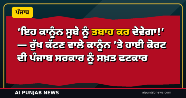 ‘ਇਹ ਕਾਨੂੰਨ ਸੂਬੇ ਨੂੰ ਤਬਾਹ ਕਰ ਦੇਵੇਗਾ!’ — ਰੁੱਖ ਕੱਟਣ ਵਾਲੇ ਕਾਨੂੰਨ ’ਤੇ ਹਾਈ ਕੋਰਟ ਦੀ ਪੰਜਾਬ ਸਰਕਾਰ ਨੂੰ ਸਖ਼ਤ ਫਟਕਾਰ
