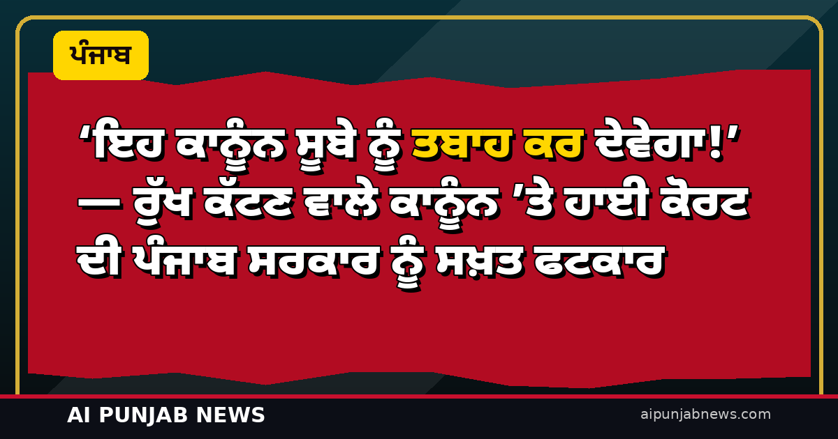 ‘ਇਹ ਕਾਨੂੰਨ ਸੂਬੇ ਨੂੰ ਤਬਾਹ ਕਰ ਦੇਵੇਗਾ!’ — ਰੁੱਖ ਕੱਟਣ ਵਾਲੇ ਕਾਨੂੰਨ ’ਤੇ ਹਾਈ ਕੋਰਟ ਦੀ ਪੰਜਾਬ ਸਰਕਾਰ ਨੂੰ ਸਖ਼ਤ ਫਟਕਾਰ