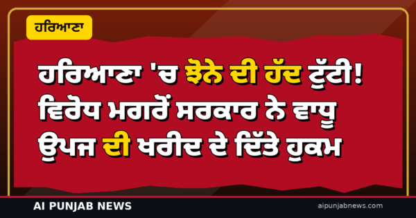 ਹਰਿਆਣਾ ‘ਚ ਝੋਨੇ ਦੀ ਹੱਦ ਟੁੱਟੀ! ਕਿਸਾਨਾਂ ਦੇ ਵਿਰੋਧ ਮਗਰੋਂ ਸਰਕਾਰ ਨੇ ਵਾਧੂ ਉਪਜ ਦੀ ਖਰੀਦ ਦੇ ਦਿੱਤੇ ਹੁਕਮ — 48 ਘੰਟਿਆਂ ‘ਚ ਹੋਵੇਗੀ ਪੁਸ਼ਟੀ
