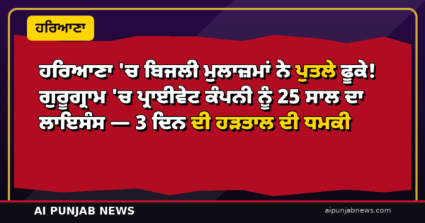 ਹਰਿਆਣਾ ‘ਚ ਬਿਜਲੀ ਮੁਲਾਜ਼ਮਾਂ ਨੇ ਪੁਤਲੇ ਫੂਕੇ! ਗੁਰੂਗ੍ਰਾਮ ‘ਚ ਪ੍ਰਾਈਵੇਟ ਕੰਪਨੀ ਨੂੰ 25 ਸਾਲ ਦਾ ਲਾਇਸੰਸ — 3 ਦਿਨ ਦੀ ਹੜਤਾਲ ਦੀ ਧਮਕੀ