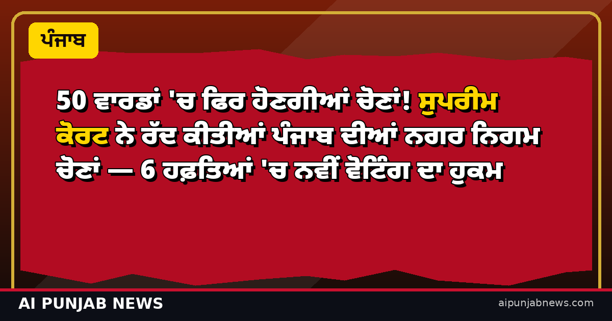 50 ਵਾਰਡਾਂ 'ਚ ਫਿਰ ਹੋਣਗੀਆਂ ਚੋਣਾਂ! ਸੁਪਰੀਮ ਕੋਰਟ ਨੇ ਰੱਦ ਕੀਤੀਆਂ ਪੰਜਾਬ ਦੀਆਂ ਨਗਰ ਨਿਗਮ ਚੋਣਾਂ