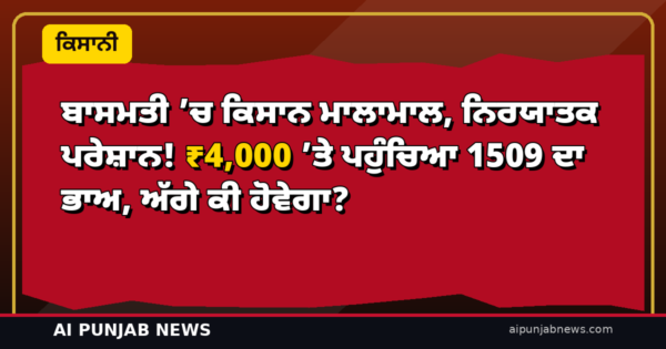 ਬਾਸਮਤੀ ’ਚ ਕਿਸਾਨ ਮਾਲਾਮਾਲ, ਨਿਰਯਾਤਕ ਪਰੇਸ਼ਾਨ! ₹4,000 ’ਤੇ ਪਹੁੰਚਿਆ 1509 ਦਾ ਭਾਅ, ਅੱਗੇ ਕੀ ਹੋਵੇਗਾ?