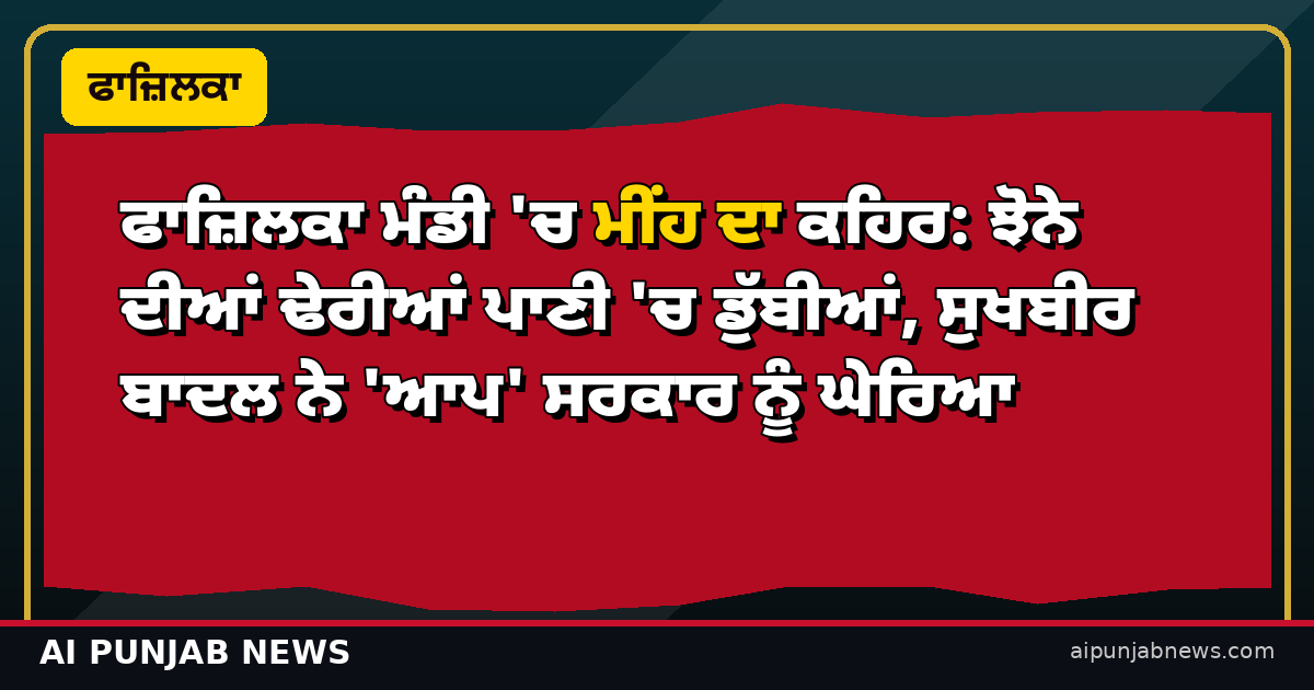 ਫਾਜ਼ਿਲਕਾ ਮੰਡੀ 'ਚ ਮੀਂਹ ਦਾ ਕਹਿਰ: ਝੋਨੇ ਦੀਆਂ ਢੇਰੀਆਂ ਪਾਣੀ 'ਚ ਡੁੱਬੀਆਂ, ਸੁਖਬੀਰ ਬਾਦਲ ਨੇ 'ਆਪ' ਸਰਕਾਰ ਨੂੰ ਘੇਰਿਆ