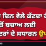 ਮੱਛਰ ਦਿਨ ਵੇਲੇ ਕੱਟਦਾ ਹੈ! ਡੇਂਗੂ ਤੋਂ ਬਚਾਅ ਲਈ ਡਾਕਟਰਾਂ ਦੇ ਸਧਾਰਨ ਉਪਾਅ