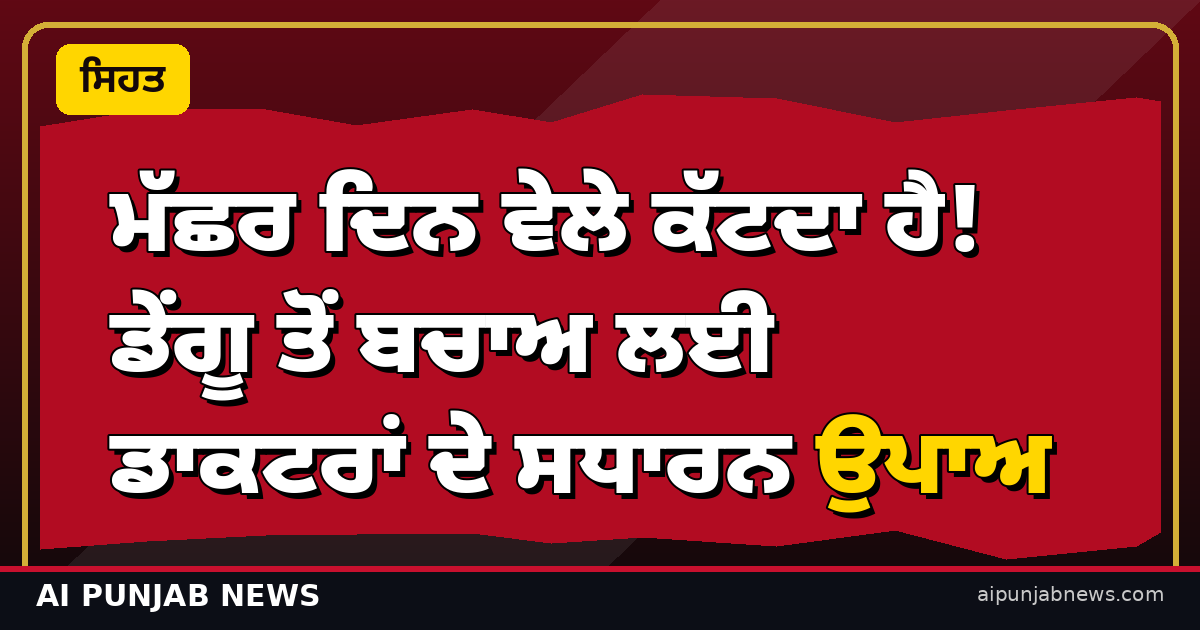 ਮੱਛਰ ਦਿਨ ਵੇਲੇ ਕੱਟਦਾ ਹੈ! ਡੇਂਗੂ ਤੋਂ ਬਚਾਅ ਲਈ ਡਾਕਟਰਾਂ ਦੇ ਸਧਾਰਨ ਉਪਾਅ