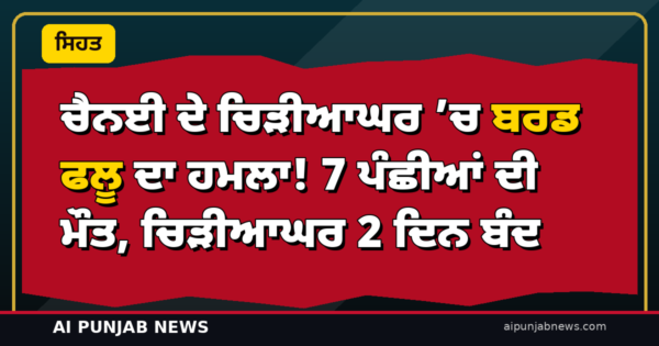 ਚੈਨਈ ਦੇ ਚਿੜੀਆਘਰ ’ਚ ਬਰਡ ਫਲੂ ਦਾ ਹਮਲਾ! 7 ਪੰਛੀਆਂ ਦੀ ਮੌਤ, ਚਿੜੀਆਘਰ 2 ਦਿਨ ਬੰਦ — ਕੀ ਮੁਰਗਾ-ਅੰਡਾ ਖਾਣਾ ਸੁਰੱਖਿਅਤ ਹੈ?
