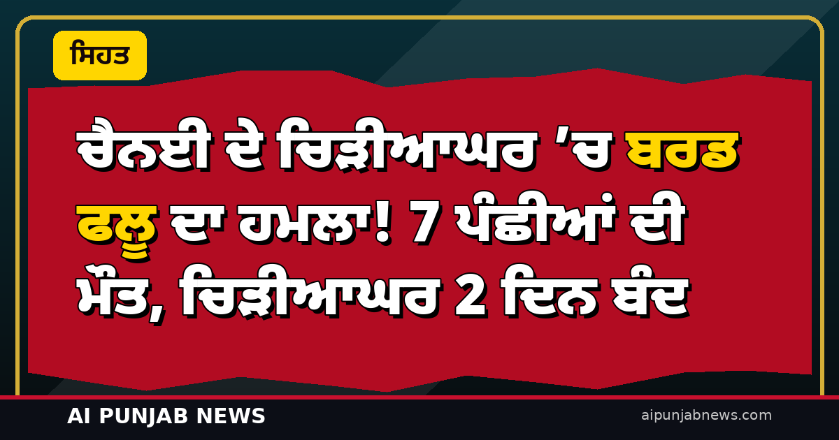 ਚੈਨਈ ਦੇ ਚਿੜੀਆਘਰ ’ਚ ਬਰਡ ਫਲੂ ਦਾ ਹਮਲਾ! 7 ਪੰਛੀਆਂ ਦੀ ਮੌਤ, ਚਿੜੀਆਘਰ 2 ਦਿਨ ਬੰਦ — ਕੀ ਮੁਰਗਾ-ਅੰਡਾ ਖਾਣਾ ਸੁਰੱਖਿਅਤ ਹੈ?