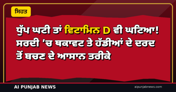 ਧੁੱਪ ਘਟੀ ਤਾਂ ਵਿਟਾਮਿਨ D ਵੀ ਘਟਿਆ! ਸਰਦੀ ’ਚ ਥਕਾਵਟ ਤੇ ਹੱਡੀਆਂ ਦੇ ਦਰਦ ਤੋਂ ਬਚਣ ਦੇ ਆਸਾਨ ਤਰੀਕੇ