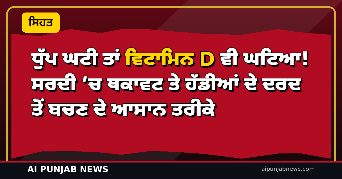 ਧੁੱਪ ਘਟੀ ਤਾਂ ਵਿਟਾਮਿਨ D ਵੀ ਘਟਿਆ! ਸਰਦੀ ’ਚ ਥਕਾਵਟ ਤੇ ਹੱਡੀਆਂ ਦੇ ਦਰਦ ਤੋਂ ਬਚਣ ਦੇ ਆਸਾਨ ਤਰੀਕੇ