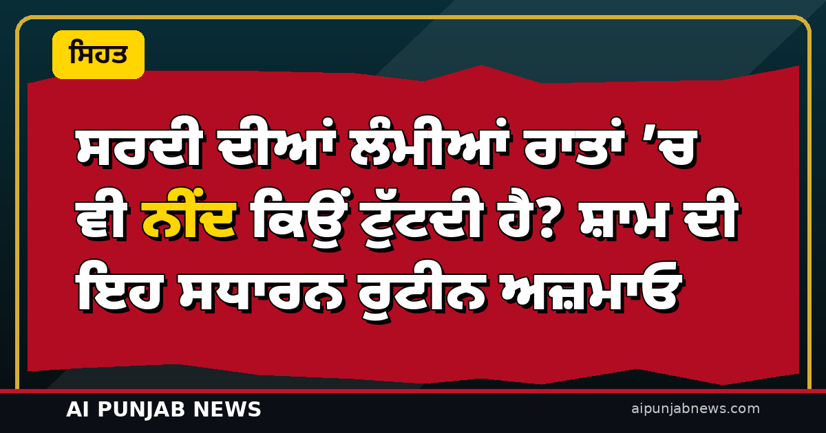 ਸਰਦੀ ਦੀਆਂ ਲੰਮੀਆਂ ਰਾਤਾਂ ’ਚ ਵੀ ਨੀਂਦ ਕਿਉਂ ਟੁੱਟਦੀ ਹੈ? ਸ਼ਾਮ ਦੀ ਇਹ ਸਧਾਰਨ ਰੁਟੀਨ ਅਜ਼ਮਾਓ