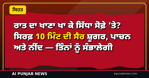 ਰਾਤ ਦਾ ਖਾਣਾ ਖਾ ਕੇ ਸਿੱਧਾ ਸੋਫ਼ੇ ’ਤੇ? ਸਿਰਫ਼ 10 ਮਿੰਟ ਦੀ ਸੈਰ ਸ਼ੂਗਰ, ਪਾਚਨ ਅਤੇ ਨੀਂਦ — ਤਿੰਨਾਂ ਨੂੰ ਸੰਭਾਲੇਗੀ