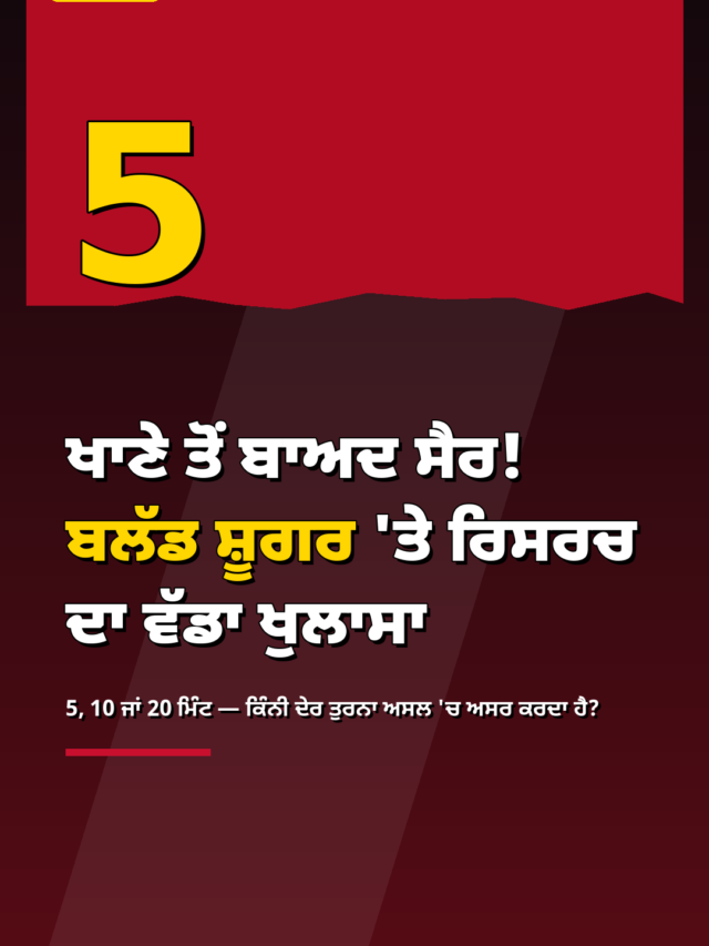 ਖਾਣੇ ਤੋਂ ਬਾਅਦ ਸੈਰ! ਬਲੱਡ ਸ਼ੂਗਰ ‘ਤੇ ਰਿਸਰਚ ਦਾ ਵੱਡਾ ਖੁਲਾਸਾ