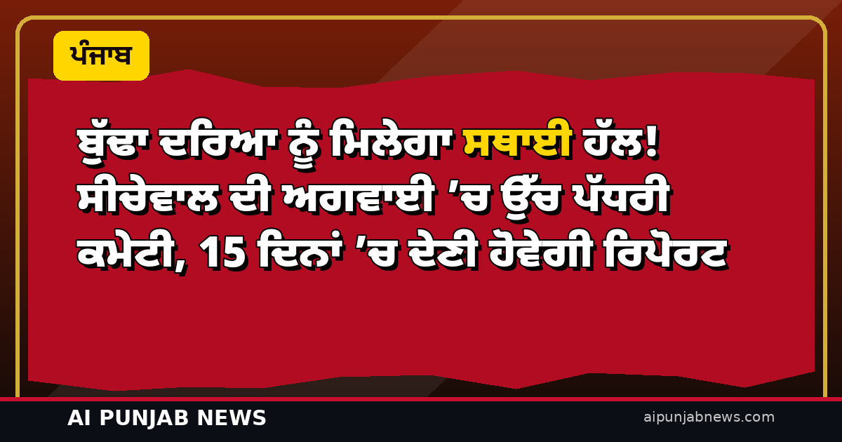 ਬੁੱਢਾ ਦਰਿਆ ਨੂੰ ਮਿਲੇਗਾ ਸਥਾਈ ਹੱਲ! ਸੀਚੇਵਾਲ ਦੀ ਅਗਵਾਈ ’ਚ ਉੱਚ ਪੱਧਰੀ ਕਮੇਟੀ, 15 ਦਿਨਾਂ ’ਚ ਦੇਣੀ ਹੋਵੇਗੀ ਰਿਪੋਰਟ